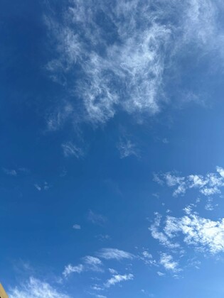 316「まずは体調を整えます」