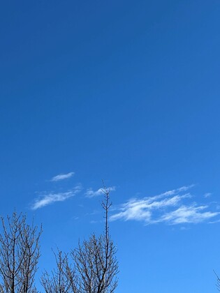 66「また一緒に霊園ツアーを」