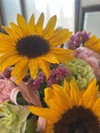 206「今年の夏はちょっと暑すぎる」