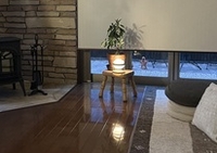 307「トンボと物思いにふける」