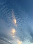 287「空を見上げて」
